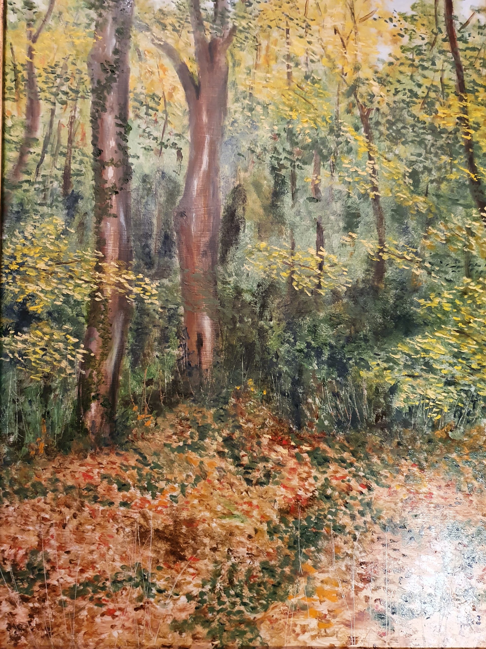 Autunno nel bosco- olio su tavola cm 40×55