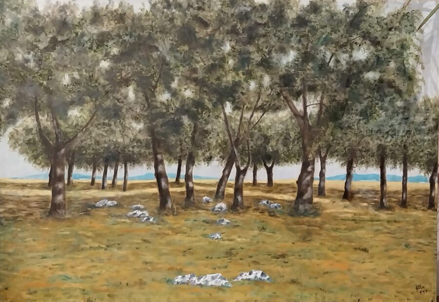 Lecceto- olio su tela cm 100x70 - Studio d'arte Alberto Bernardini